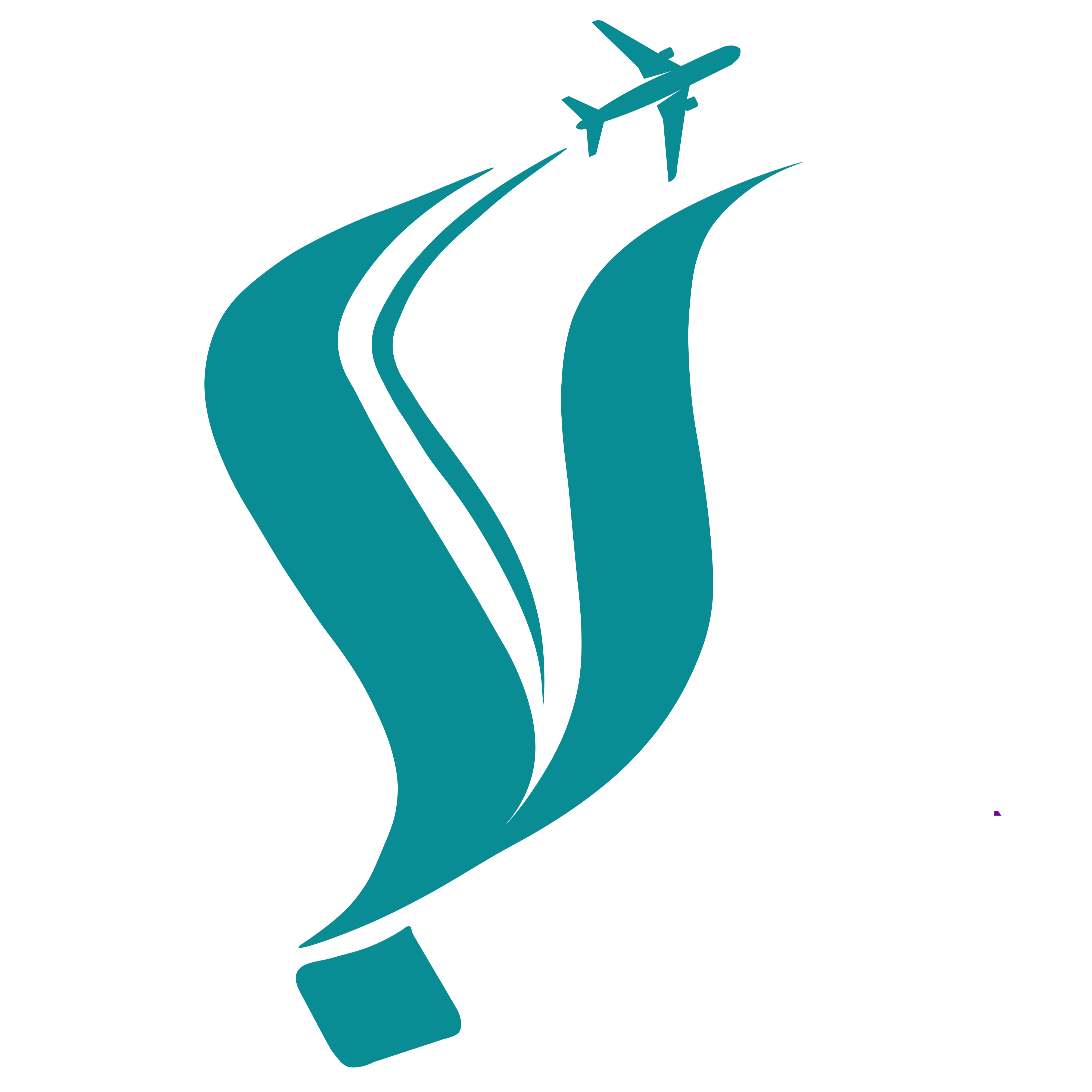 Bursa Travel Logo